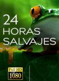Descargar 24 horas salvajes [1080p]. por Torrent