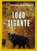 Descargar Cazadores Prehistóricos: Lobo Gigante por Torrent