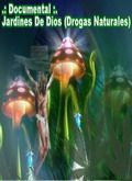 Descargar Drogas y Cerebro: Jardines de Dios (Drogas naturales). por Torrent