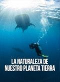 Descargar La naturaleza de nuestro planeta Tierra por Torrent