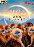 Descargar Siete mundos, un planeta [720p]. por Torrent